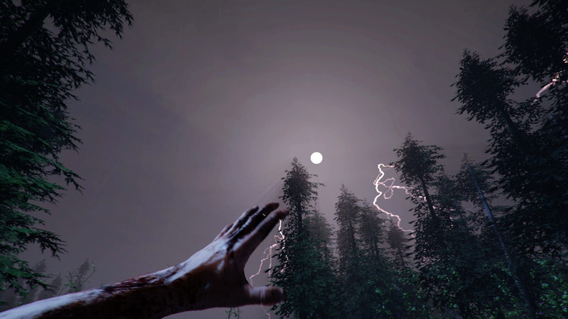The Forest - screenshot 9