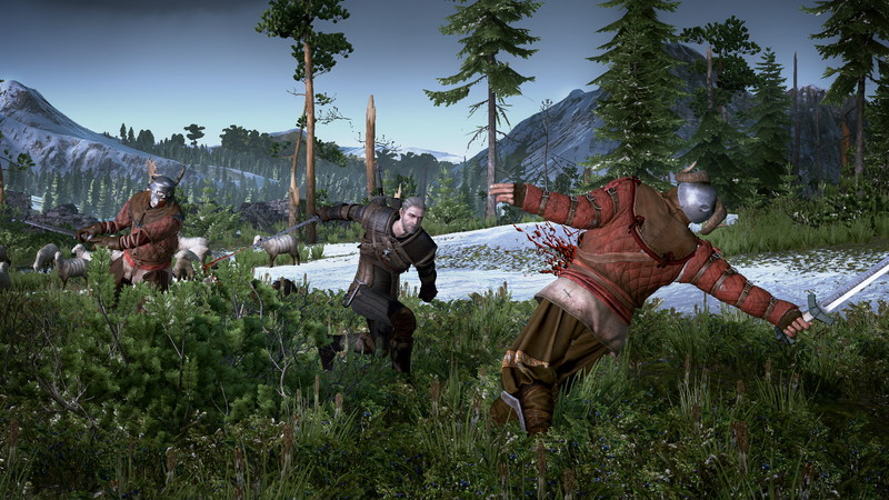 The Witcher 3: Wild Hunt - screenshot 74