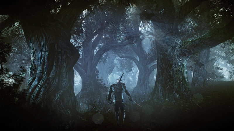 The Witcher 3: Wild Hunt - screenshot 40