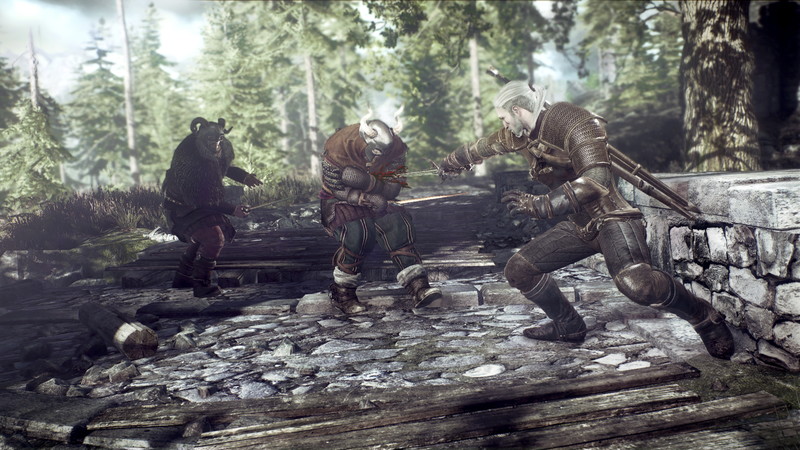 The Witcher 3: Wild Hunt - screenshot 32
