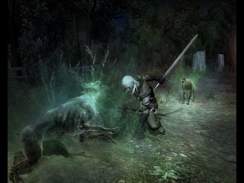 The Witcher - screenshot 13