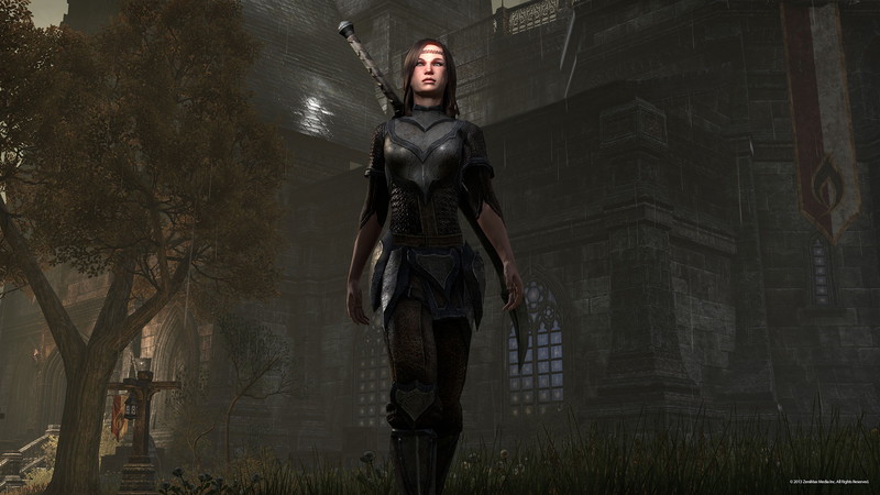 The Elder Scrolls Online: Tamriel Unlimited - screenshot 15
