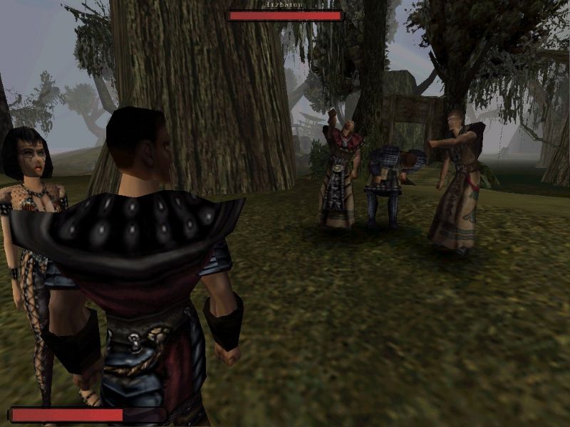 Gothic - screenshot 51