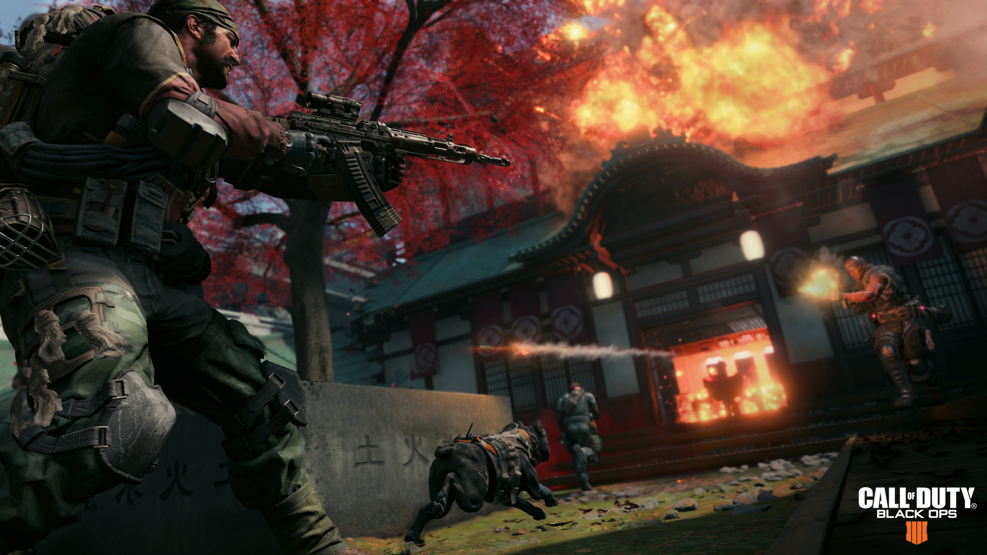 Call of Duty: Black Ops 4 - screenshot 9