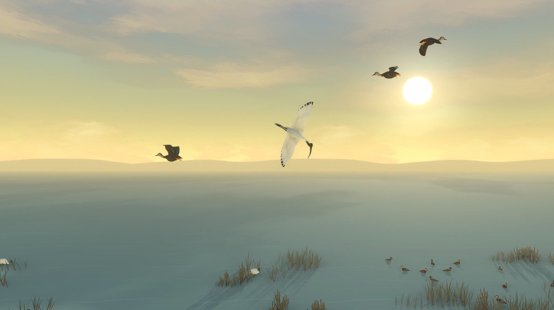 Storm Boy: The Game - screenshot 12