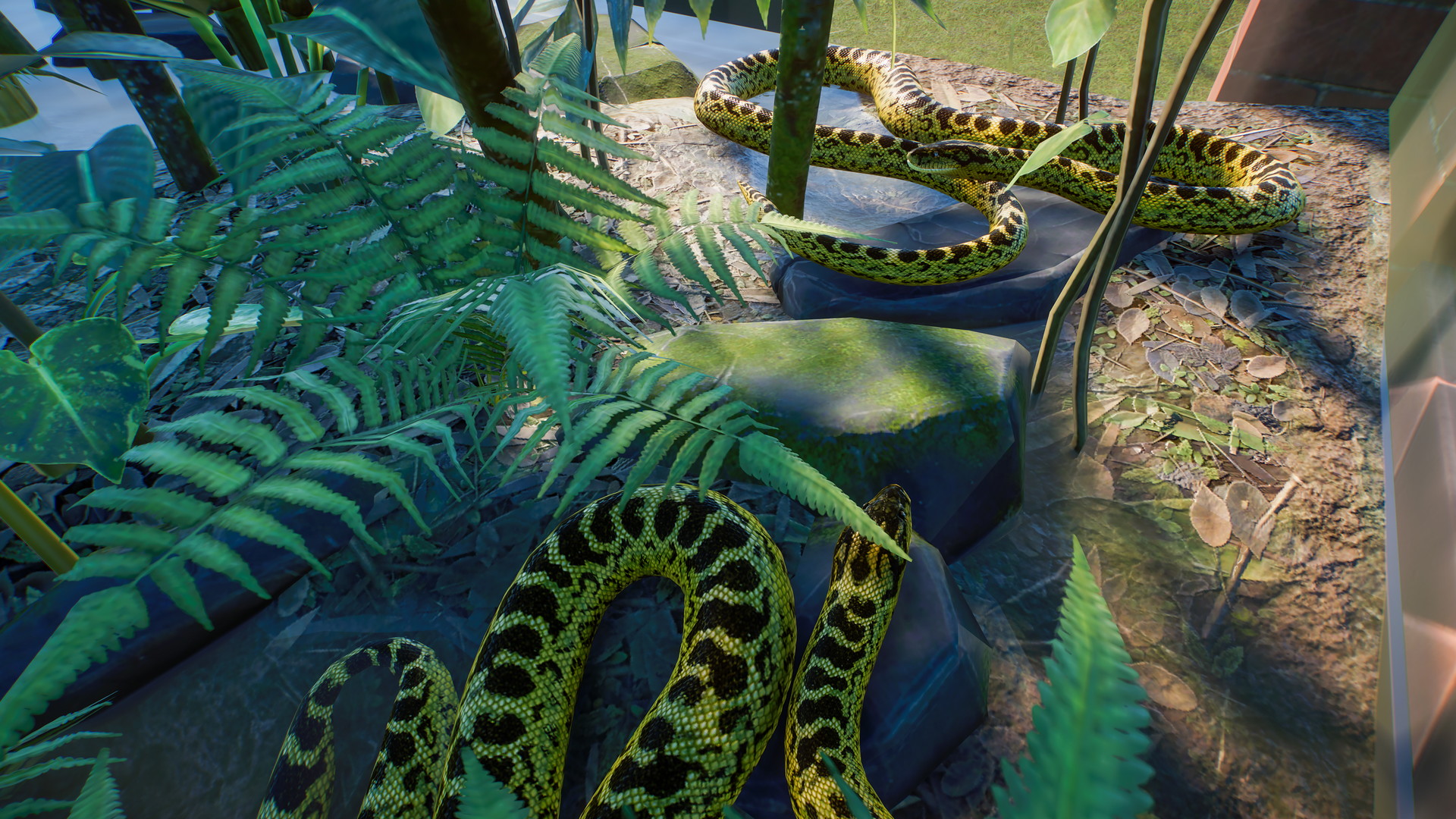Planet Zoo - screenshot 24