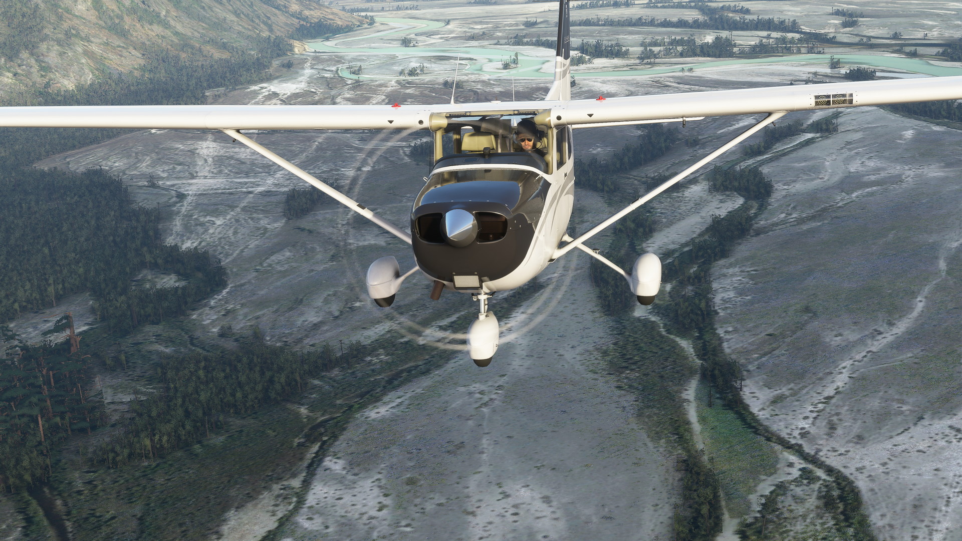 Microsoft Flight Simulator - screenshot 11