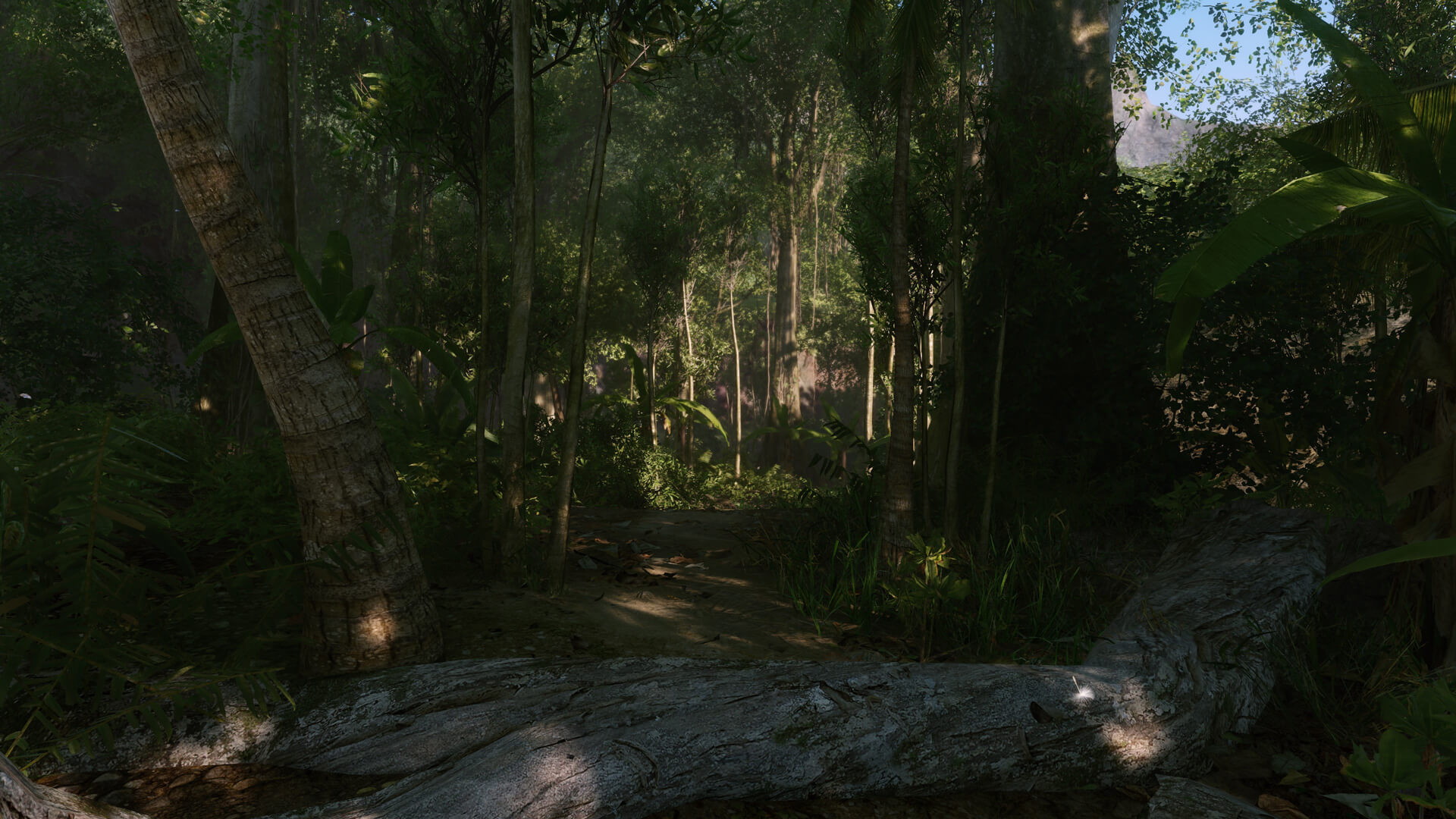 Crysis Remastered - screenshot 9