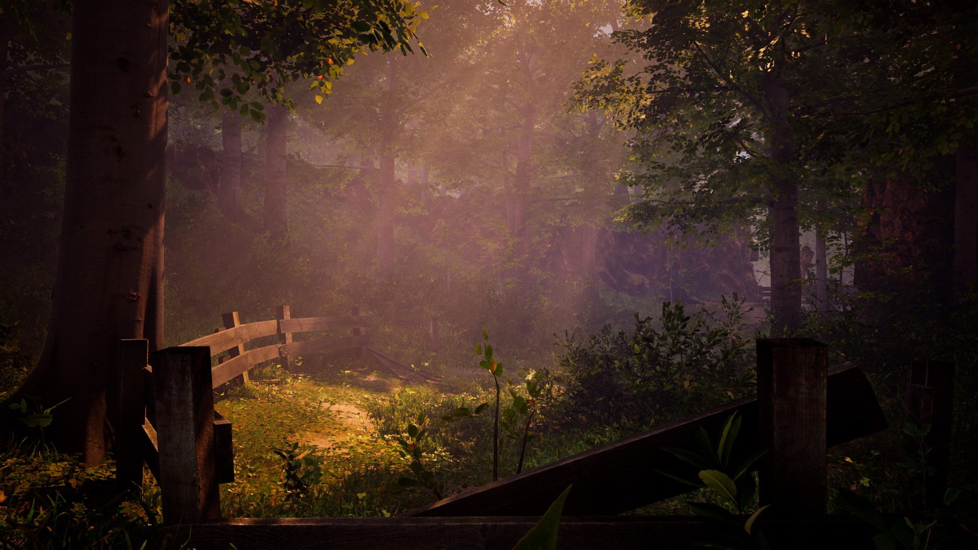 The Fabled Woods - screenshot 5