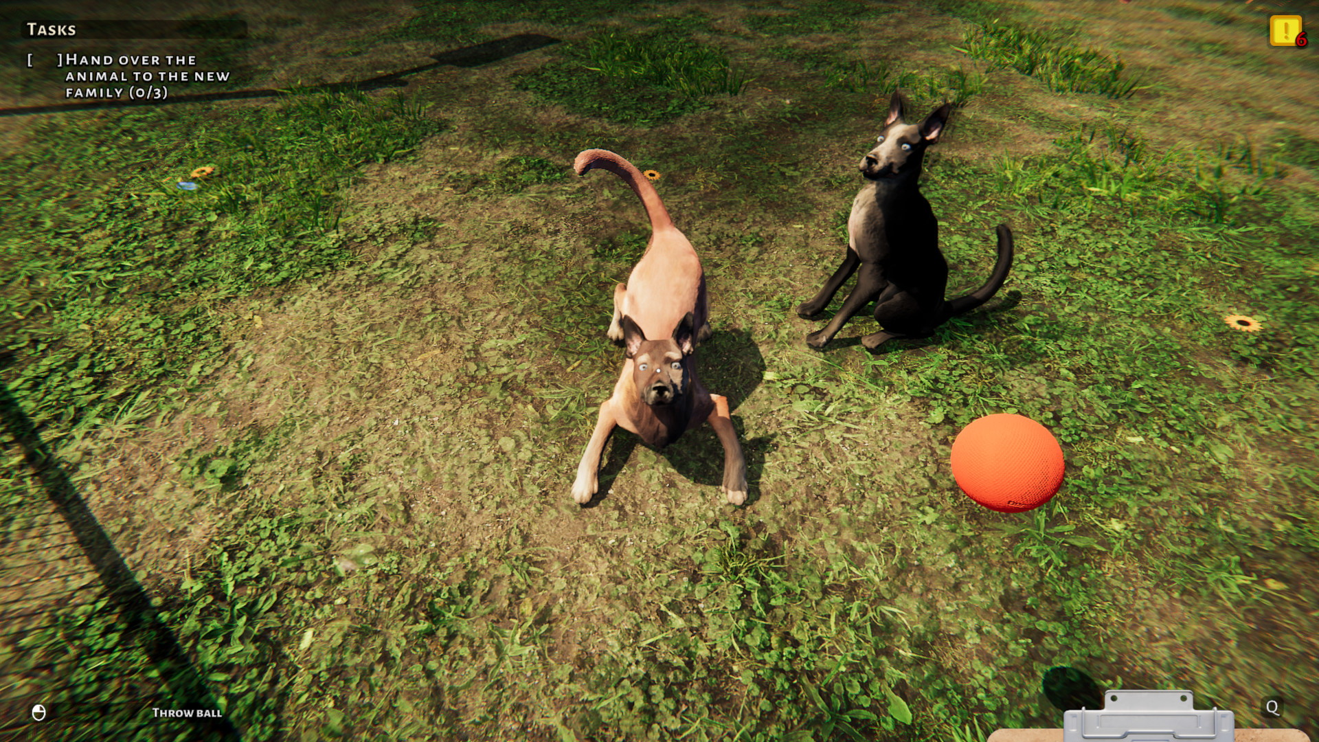 Animal Shelter - screenshot 5