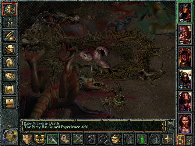 Baldur's Gate - screenshot 13