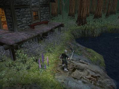 Dungeon Siege - screenshot 26