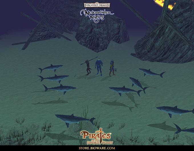 Neverwinter Nights: Pirates of the Sword Coast MOD - screenshot 2