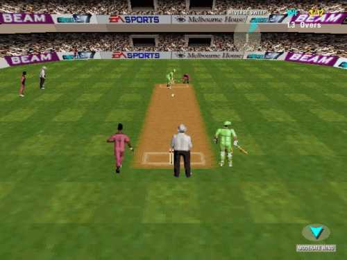 Cricket 97 - screenshot 11