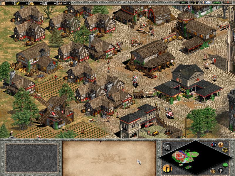 Age of Empires 2: The Age of Kings - screenshot 11