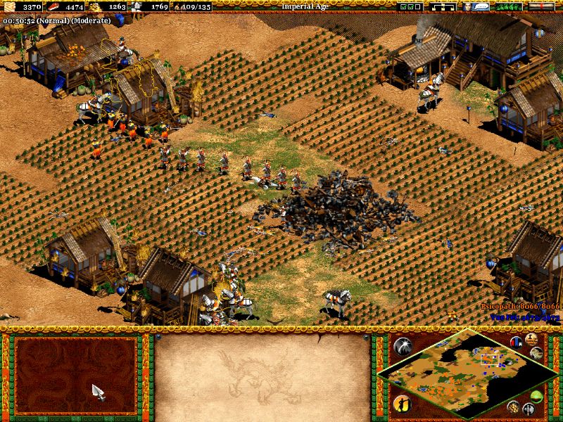 Age of Empires 2: The Age of Kings - screenshot 4