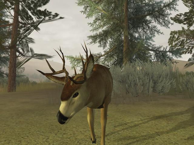Deer Hunter 2005 - screenshot 6
