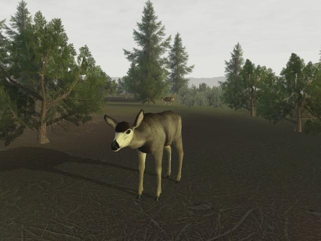 Deer Hunter 2005 - screenshot 4
