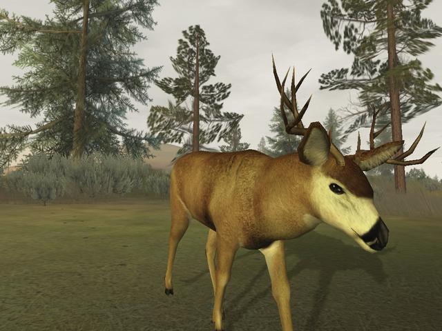 Deer Hunter 2005 - screenshot 2