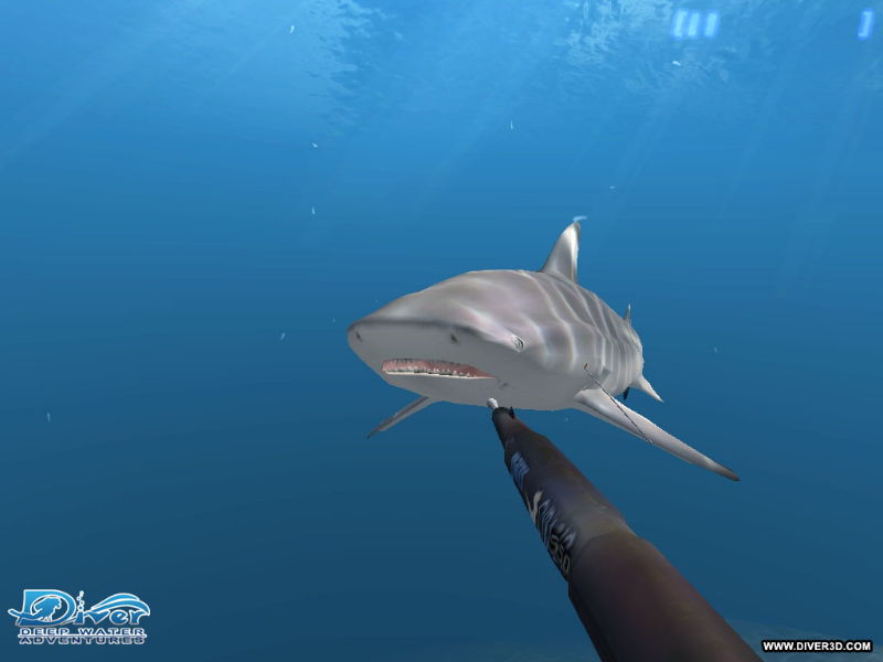 Diver: Deep Water Adventures - screenshot 128