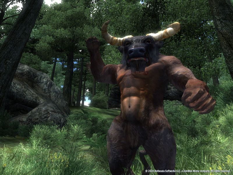 The Elder Scrolls 4: Oblivion - screenshot 24