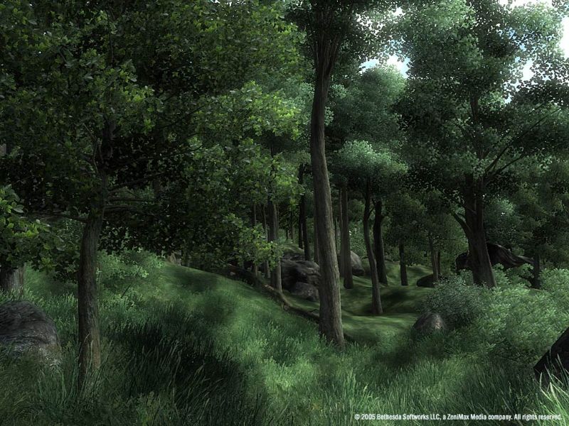 The Elder Scrolls 4: Oblivion - screenshot 19