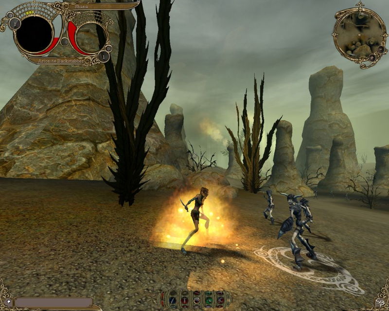The Chronicles of Spellborn - screenshot 5