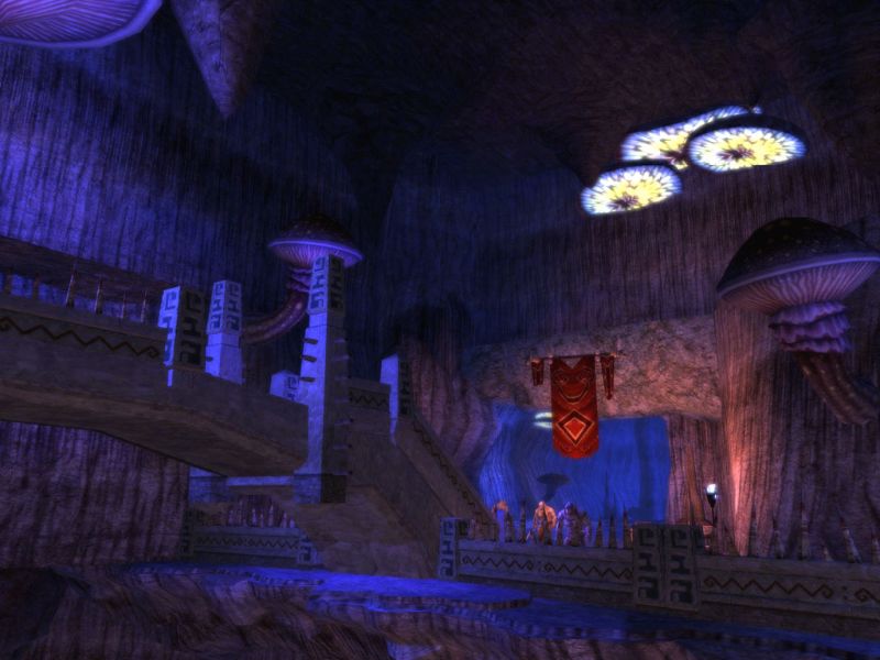 Dungeons & Dragons Online: Stormreach - screenshot 30
