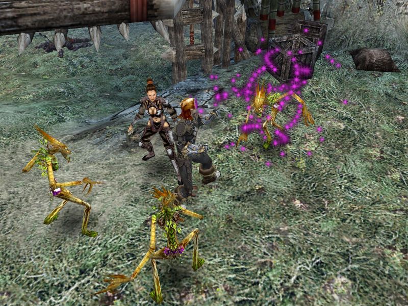 Dungeon Siege II - screenshot 15