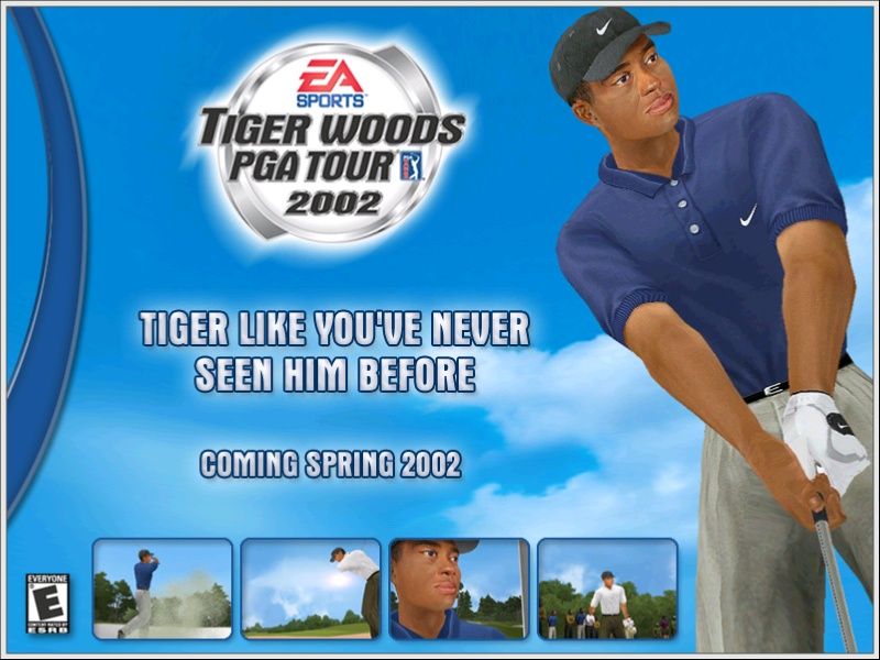 Tiger Woods PGA Tour 2002 - screenshot 23