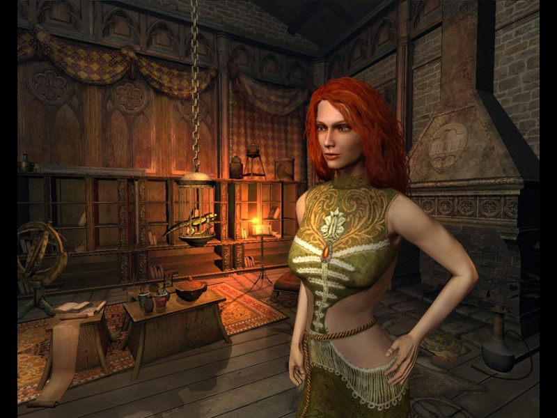 The Witcher - screenshot 31