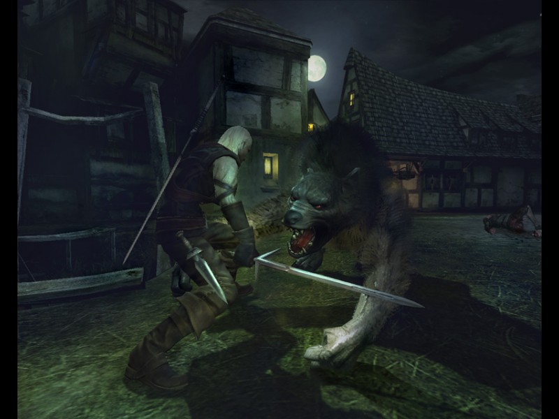 The Witcher - screenshot 30