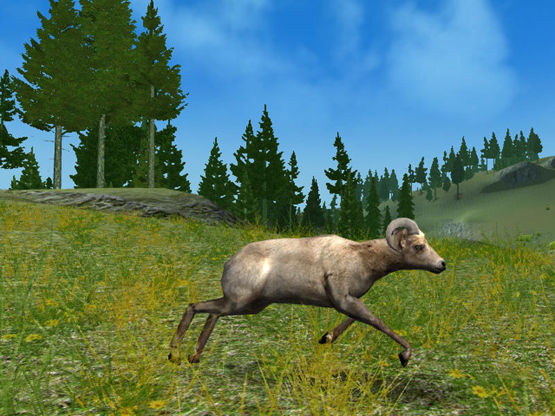 Hunting Unlimited 4 - screenshot 11