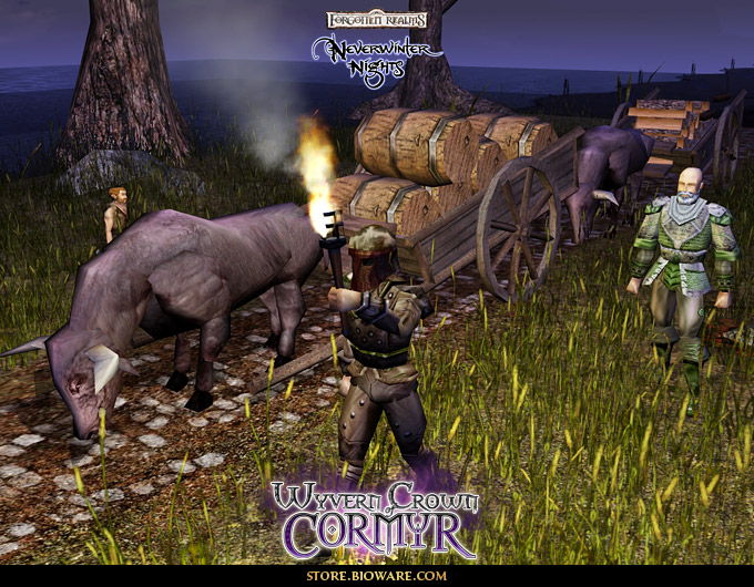 Neverwinter Nights: Wyvern Crown of Cormyr MOD - screenshot 9