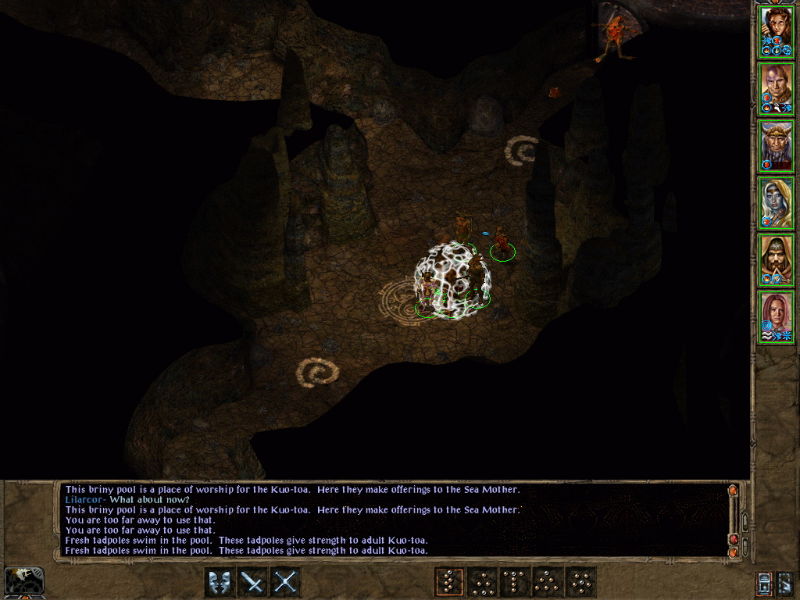 Baldur's Gate 2: Shadows of Amn - screenshot 48