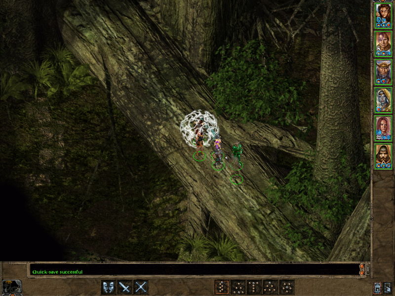 Baldur's Gate 2: Shadows of Amn - screenshot 26