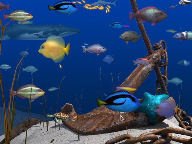 Big Kahuna Reef 2: Chain Reaction - screenshot 6