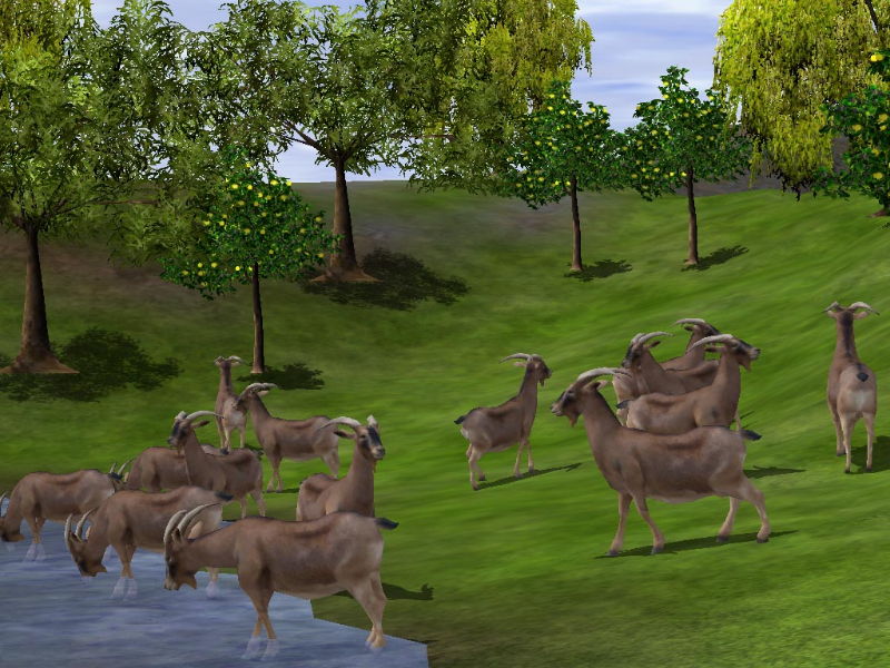 Wildlife Park 2 - screenshot 69