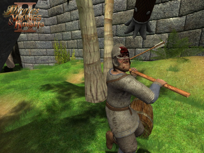 Pirates Vikings & Knights II - screenshot 4