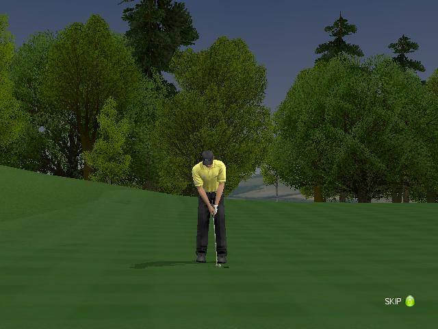 ProStroke Golf: World Tour 2007 - screenshot 38