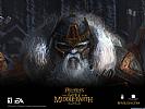 Lord of the Rings: The Battle For Middle-Earth 2 - wallpaper #7