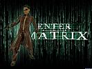 Enter The Matrix - wallpaper #3