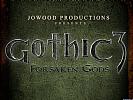 Gothic 3: Forsaken Gods - wallpaper