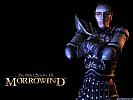 The Elder Scrolls 3: Morrowind - wallpaper #1