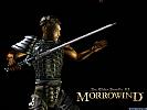 The Elder Scrolls 3: Morrowind - wallpaper #8