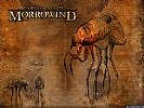 The Elder Scrolls 3: Morrowind - wallpaper #22