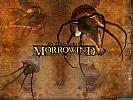 The Elder Scrolls 3: Morrowind - wallpaper #24