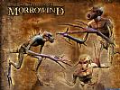 The Elder Scrolls 3: Morrowind - wallpaper #27