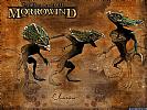 The Elder Scrolls 3: Morrowind - wallpaper #32