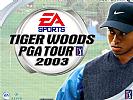 Tiger Woods PGA Tour 2003 - wallpaper #2